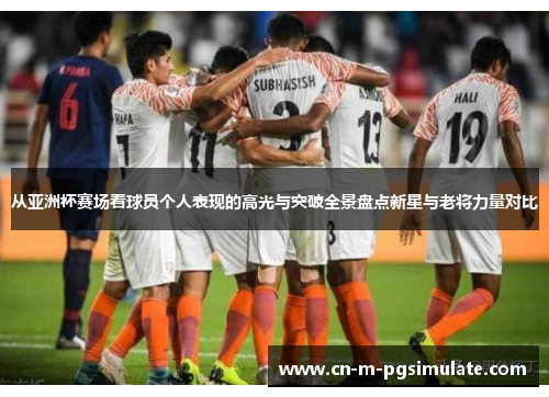 从亚洲杯赛场看球员个人表现的高光与突破全景盘点新星与老将力量对比 从亚洲杯赛场看球员个人表现的高光与突破全景盘点新星与老将力量对比